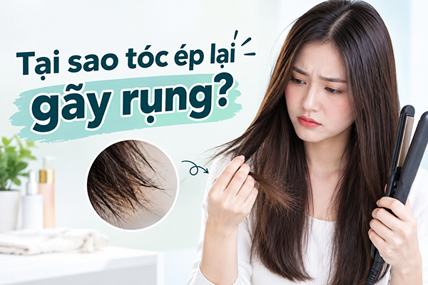 Tại sao ép tóc lại gãy rụng