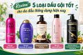 Review 5 loại dầu gội tốt cho da đầu thông dụng nhất hiện nay