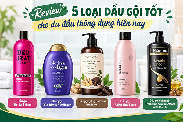 Review 5 loại dầu gội tốt cho da đầu thông dụng nhất hiện nay
