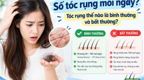số tóc rụng mỗi ngày